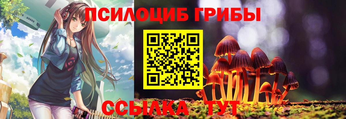 Псилоцибиновые грибы Cubensis Павлово