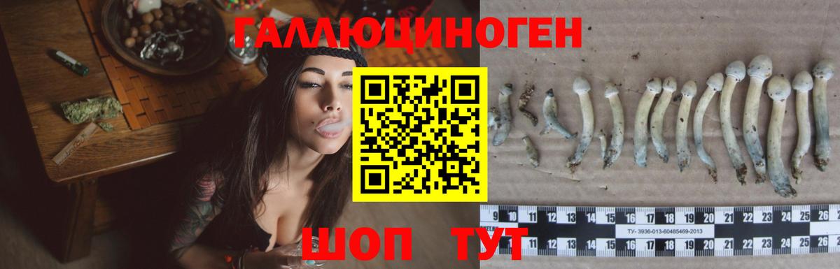 Псилоцибиновые грибы GOLDEN TEACHER  Вход с VPN  Псилоцибиновые грибы GOLDEN TEACHER  Павлово 